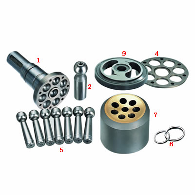A2FO 55cc, 80cc, 107cc, 125ccm, 160ccm, 180ccm hydraulische Pumpenteile